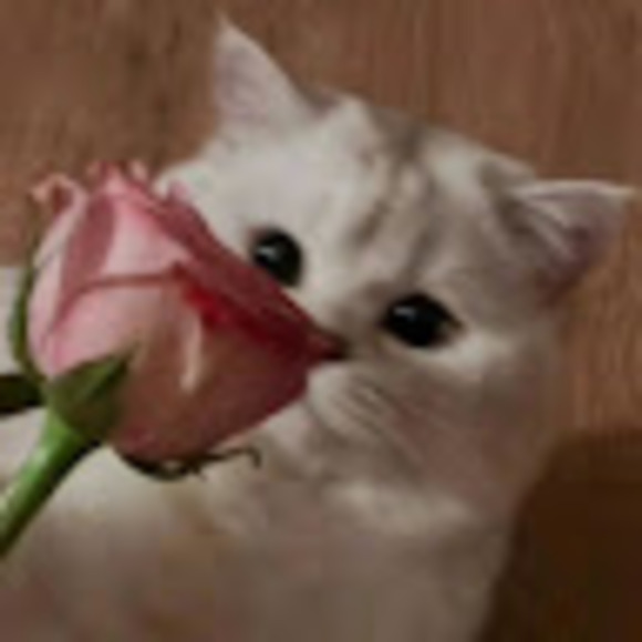 audreyxia10
